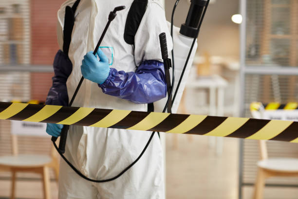 Professional Sewage Cleanup technician working in Patton, CA